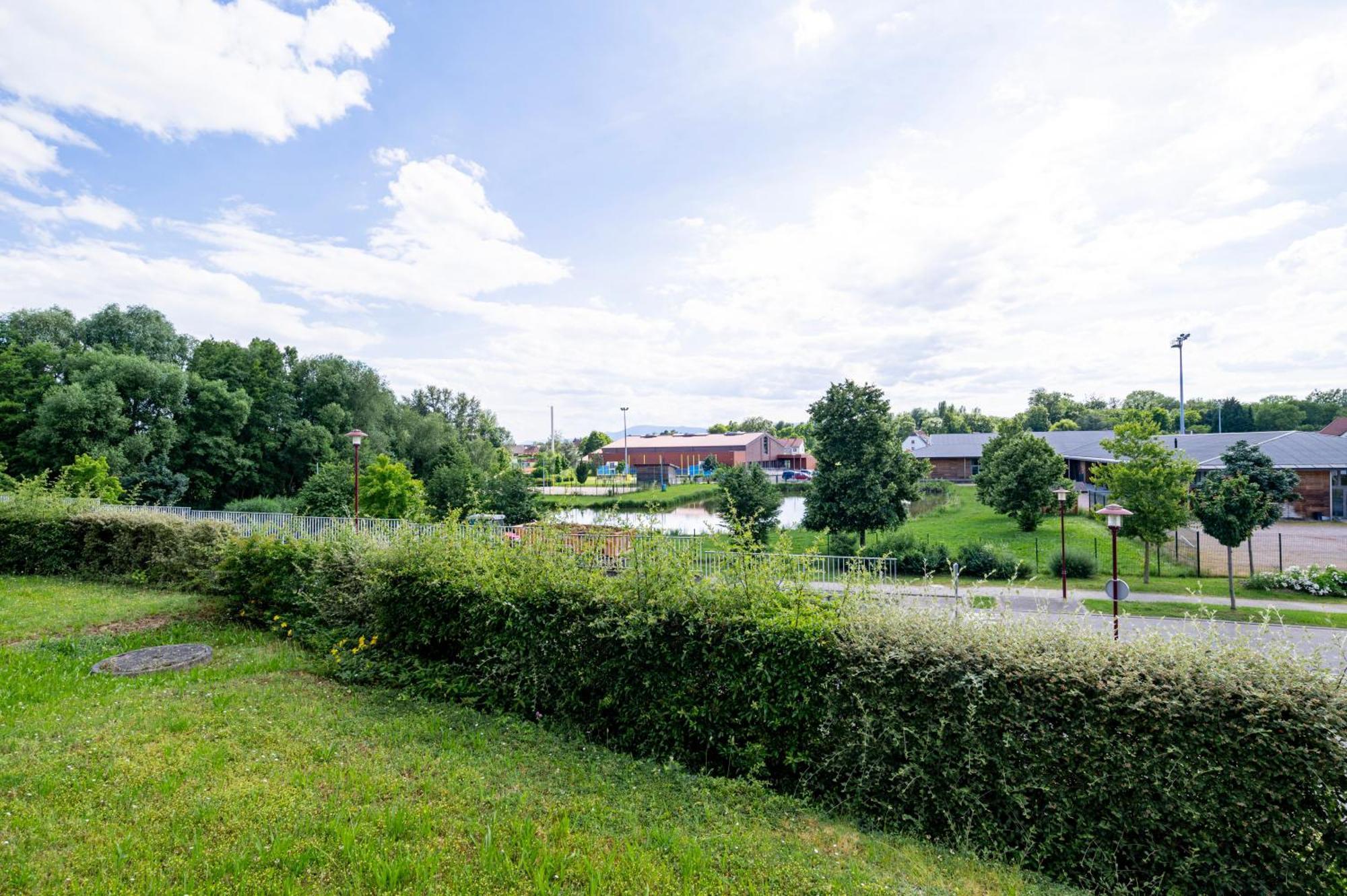 Chez Virgil - Terrasse Vue Degagee, Parking Prive Διαμέρισμα Ernolsheim-Bruche Εξωτερικό φωτογραφία